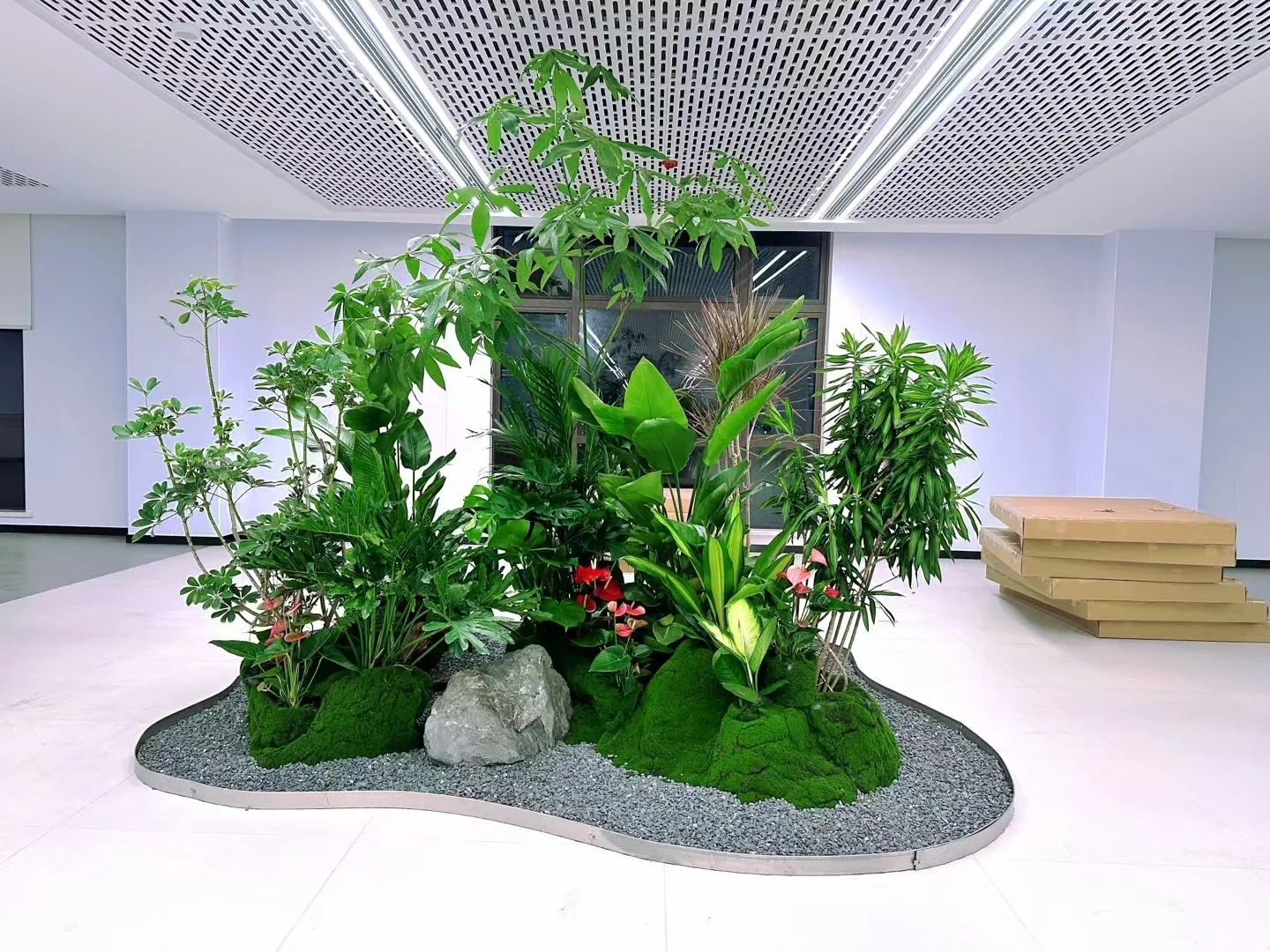 专业花木租摆鄞州行，品质服务超贴心